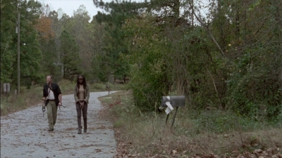 twd315-001416.jpg