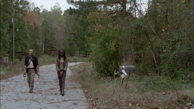 twd315-001419.jpg