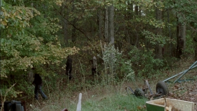 twd315-001494.jpg