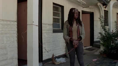 twd315-001736.jpg