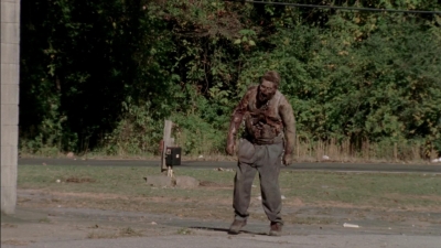 twd315-001751.jpg
