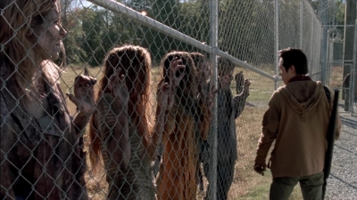 twd315-001995.jpg