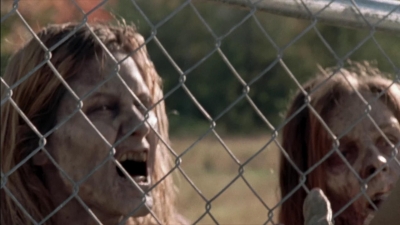 twd315-002000.jpg