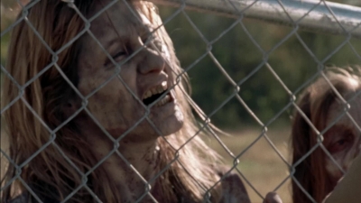 twd315-002001.jpg