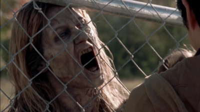 twd315-002003.jpg