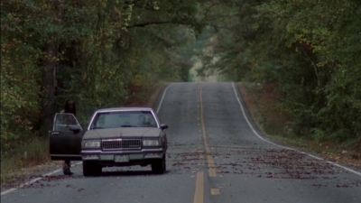 twd315-002174.jpg