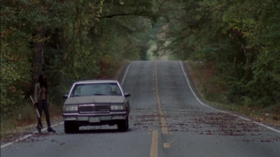 twd315-002181.jpg