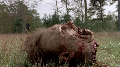 twd315-002206.jpg