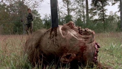 twd315-002211.jpg