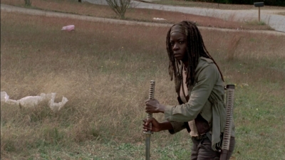 twd315-002213.jpg