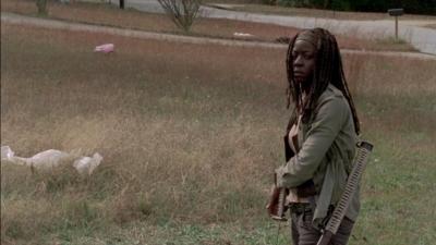 twd315-002215.jpg