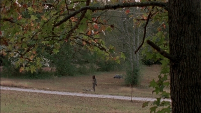twd315-002233.jpg
