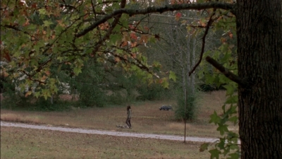 twd315-002236.jpg