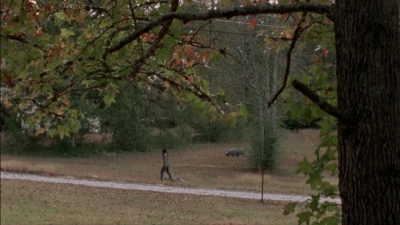 twd315-002238.jpg