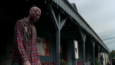 twd315-002244.jpg