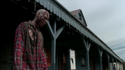 twd315-002245.jpg