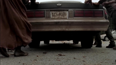 twd315-002299.jpg