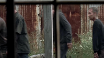 twd315-002446.jpg