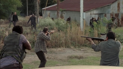 twd315-002462.jpg
