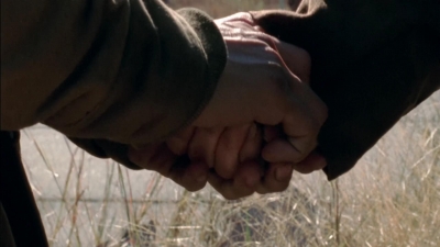 twd315-002592.jpg