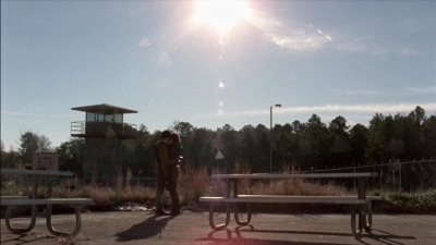 twd315-002616.jpg