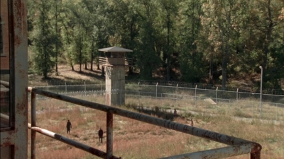 twd315-002832.jpg