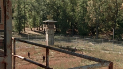 twd315-002833.jpg