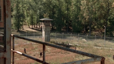 twd315-002835.jpg