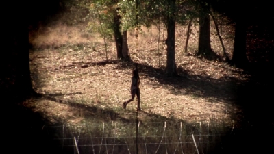 twd315-002853.jpg
