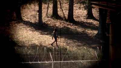 twd315-002857.jpg