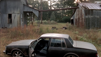 twd315-002880.jpg