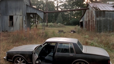 twd315-002883.jpg