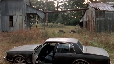 twd315-002886.jpg