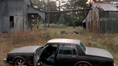 twd315-002896.jpg