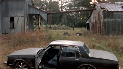 twd315-002897.jpg