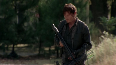 twd315-002902.jpg