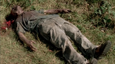 twd315-002903.jpg