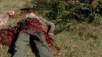 twd315-002910.jpg