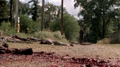 twd315-002915.jpg