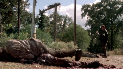 twd315-002924.jpg