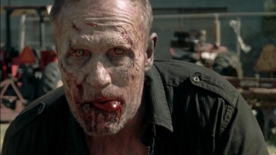 twd315-002949.jpg
