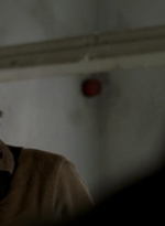 twd315-000236.jpg