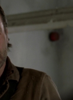 twd315-000267.jpg