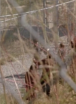 twd315-000385.jpg