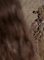twd315-000386.jpg