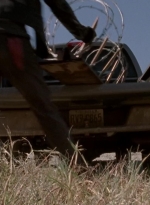 twd315-000402.jpg