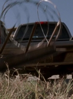 twd315-000403.jpg