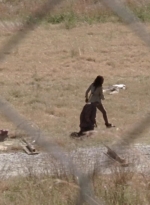 twd315-000413.jpg