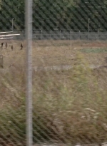 twd315-000426.jpg