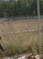 twd315-000427.jpg